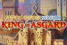 Age Of The Gods Norse King Of Asgard