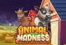 animal-madness/