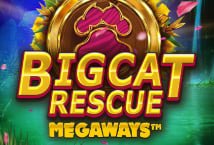 Big Cat Rescue Megaways