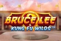 bruce-lee-kung-fu-wilds/