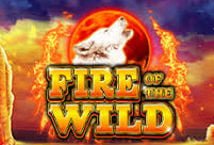 Fire Of The Wild