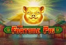 Fortune Pig