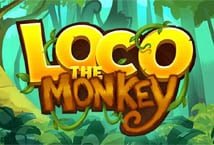 Loco The Monkey