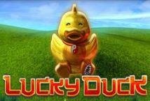 Lucky Duck