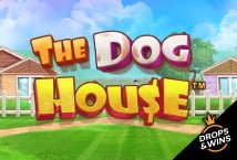 the-dog-house/
