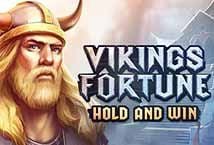 Vikings Fortune Hold And Win