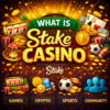 What Is Stake Casino